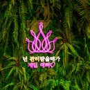 앤클로이토탈뷰티 이미지