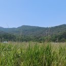 자갈마당 이미지