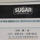슈가복싱클럽 이미지