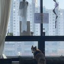 두유 개린이집 이미지