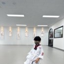 태권마루 이미지