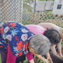 시온휴요양원 이미지