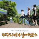 서귀동 127-6 | 제주도 3박4일 여행코스/일정 핫한 관광지 할인입장하기!