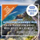 [부산] 부산야경케이블카&대표여행지 1박2일(간식제공+해외여행10만원상품권증정) 이미지