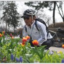 ▣ 제 15차 정달자 수요낭만 자전거 여행(남산-북악스카이웨이:3월 24일)-8 이미지