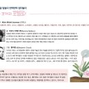동화앤아트 이미지