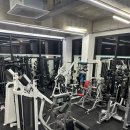 노익스짐 이미지