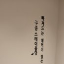 스테이퐁당 이미지