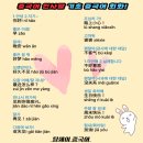 기초 중국어(발음부터 회화까지) 이미지