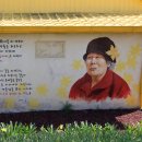 선도수선화 이미지