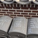 여기어때 | 여기어때 부산 랜드마크 패키지 이용권 가격 후기, 야무지게 즐기기 (스카이라인루지, 낭만요트)