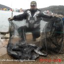 대부도바다낚시터 이미지