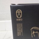 천본 이미지