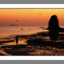 꽃지노을 이미지