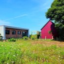 알지니포레스트 이미지