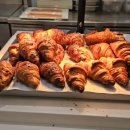 코트야드 메리어트 수원 | [광교 호텔] 코트야드 메리어트 수원 조식 뷔페 가격, 주차, 후기 (호캉스 추천)