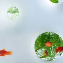 WATERSCAPE 이미지