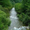 사람보다 먼저 열목어가 반한 계곡… 투명함이 남다릅니다 이미지