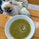 애월류가 이미지