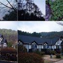 봉쥬르펜션D 이미지