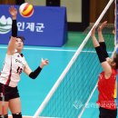 고송희