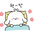 꿈꾸는음악학원 이미지