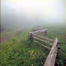 내가본꽃씨 이미지