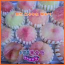 선웅농원 이미지