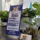 올리스 펫 호텔 이미지