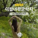 대구 5월 가볼만한곳 추천 이팝나무군락지, 아이랑 데이트 여행코스