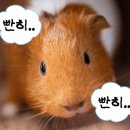 봉봉 스테이션 이미지