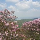 화학산등산로 이미지