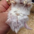 공원옆동물의료센터 이미지