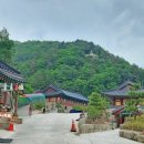 대숲민박 이미지