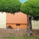 신시도초등학교 이미지