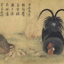 마당나온수탉 | 각기 다른 닭들의 시선과 달리 병아리들은 천진난만하고