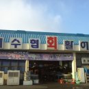 송천동 농수산 內 ((8 8 수산 )) 이미지