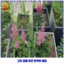 우리안애내과의원 | 답십리제1동 내과 우리안애내과의원 가격 및 후기 추천 리뷰 주차 예약 알아봐요