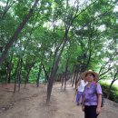 용봉약국 Daum카페
