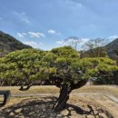 연길인 행정사사무소 이미지