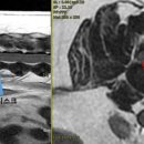 예산 동물병원 이미지