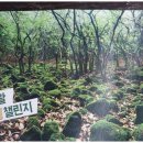 저지1521 이미지