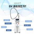 지브이시스템 이미지