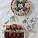 보르미하우스 이미지