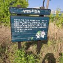 그늘막126 이미지