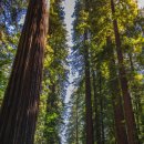 행복인문학 테라피 이미지