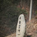 학구농장 Daum카페