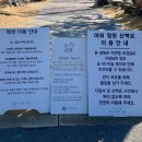 청풍호로 | 제천 청풍호뷰 대형카페 [카페너른] 솔직후기ㅣ주차요금 및 자리 꿀팁