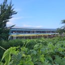 장군로-2 이미지