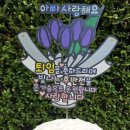 윤썬토퍼